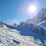 Alpenhaus Donnerkogel Apartment