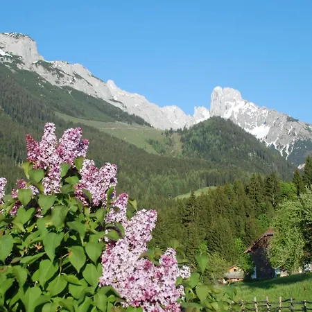 Alpenhaus Donnerkogel