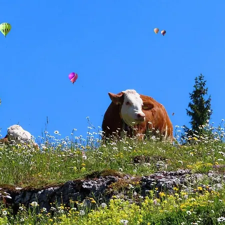 Alpenhaus Donnerkogel Apartament *