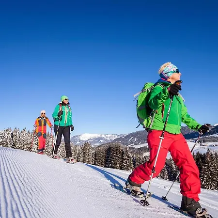 Alpenhaus Donnerkogel Apartament