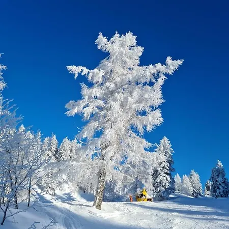 Alpenhaus Donnerkogel