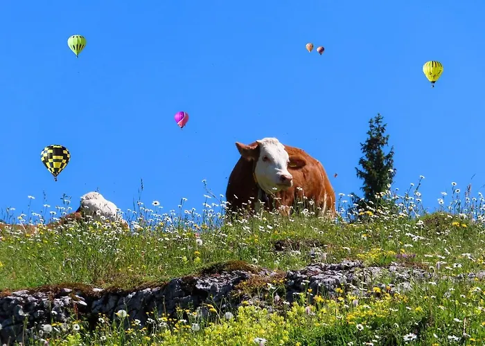 Alpenhaus Donnerkogel Daire *