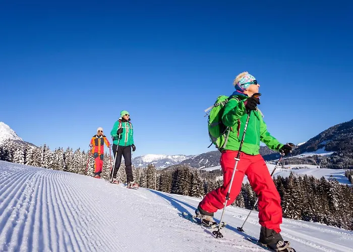 Alpenhaus Donnerkogel Daire