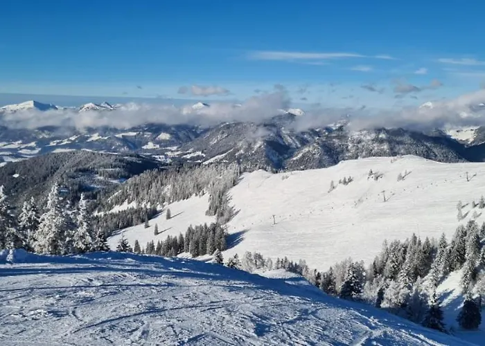 Daire Alpenhaus Donnerkogel Annaberg im Lammertal