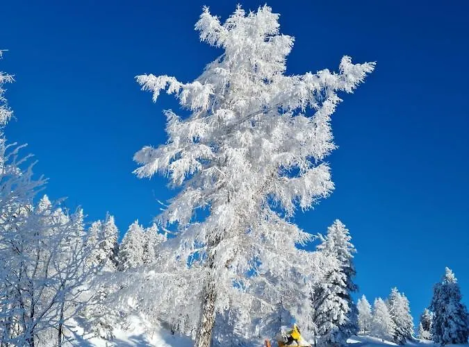 Alpenhaus Donnerkogel