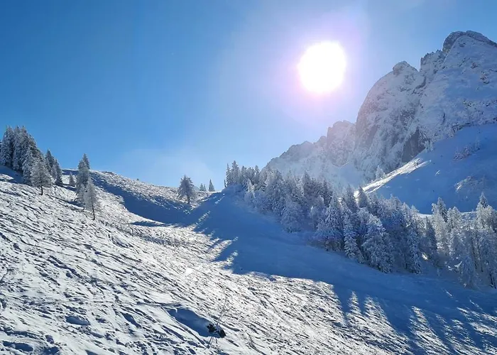 Alpenhaus Donnerkogel Daire